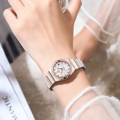 Stellaire |